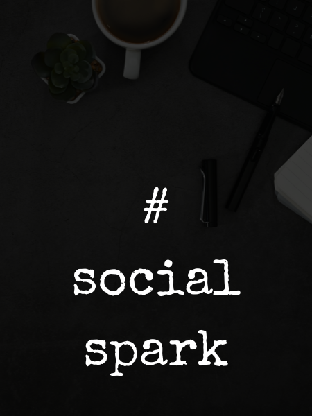 Social Media Marketing und weitere Online-Marketing-Maßnahmen